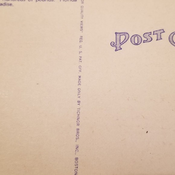 Vintage Postcard Catch of Kingfish 64855 - Picture 9 of 10